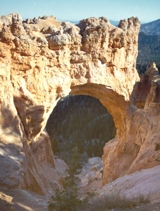 Bridge in Bryce