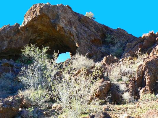 Ajo Frog Eye Arch