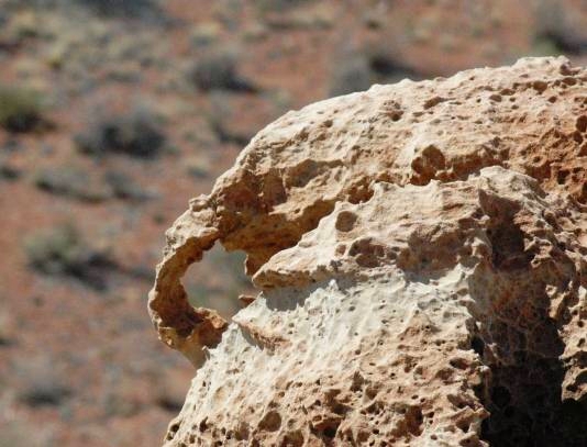 Brady Pincushion Arch