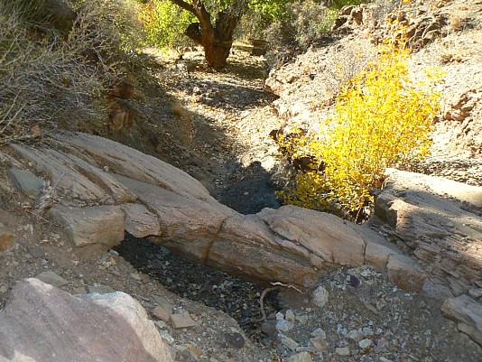 Cottonwood CG Natural Bridge