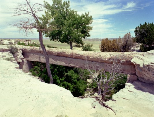 Agate Bridge