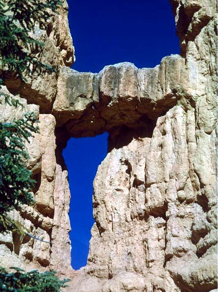 Tee Arch