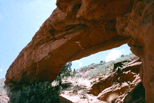 Flame Arch