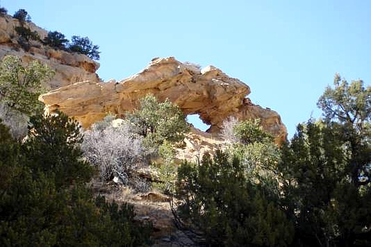 Golden  Arch