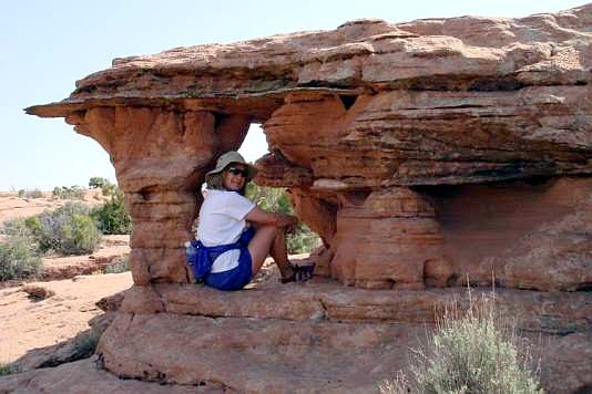 Juniper Arch