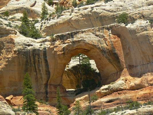 Peavine Arch