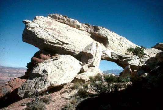 Poison Spider Arch