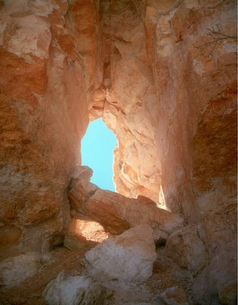 Seal Castle Window