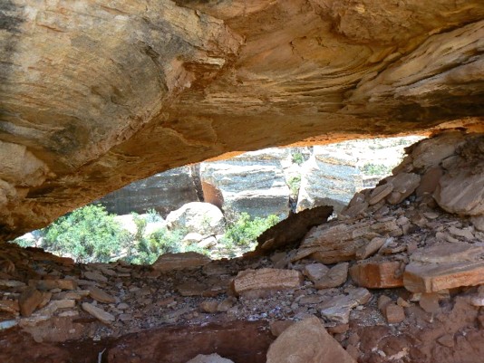 Shoe Panel Arch