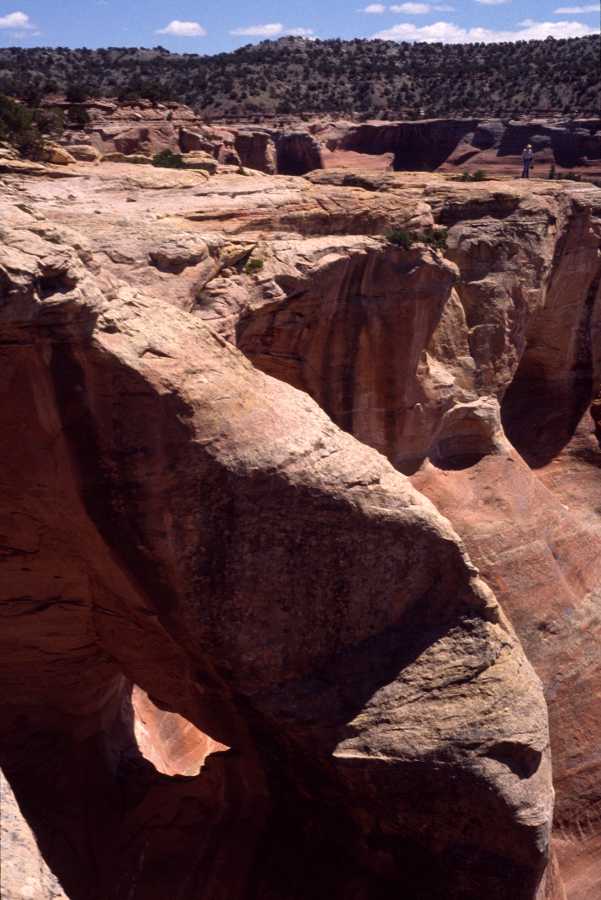 NABSQNO 12S-684645-4335325.