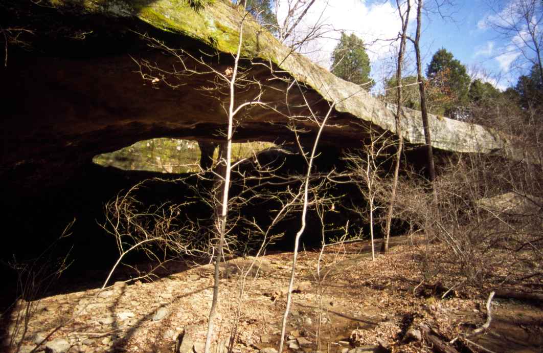 NABSQNO 16S-373615-4135361.