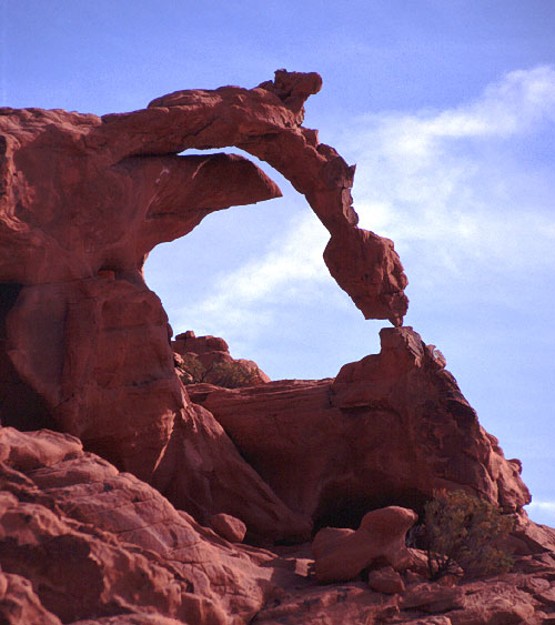 Ephemeral Arch