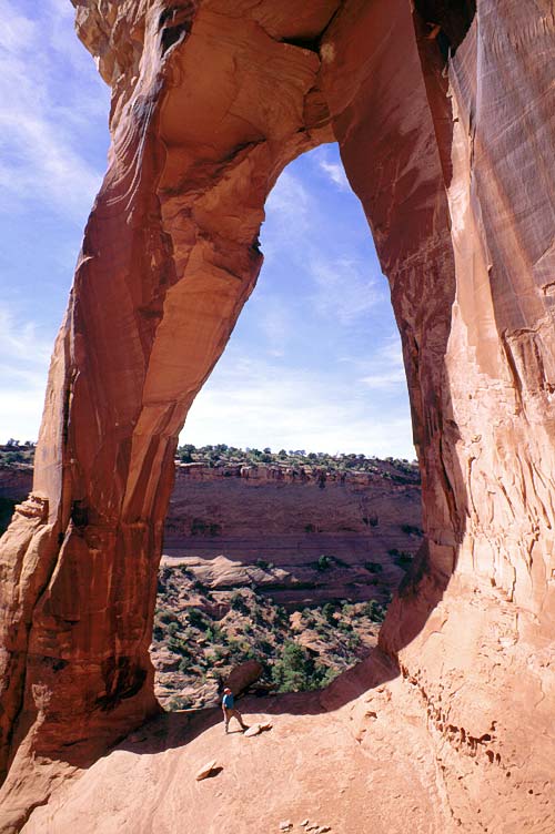 Perseverance Arch