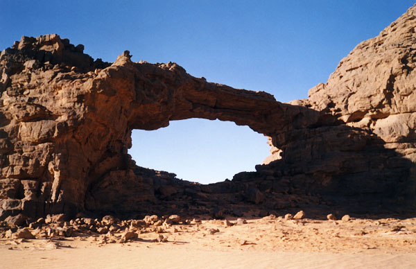 Wasp Nest Arch