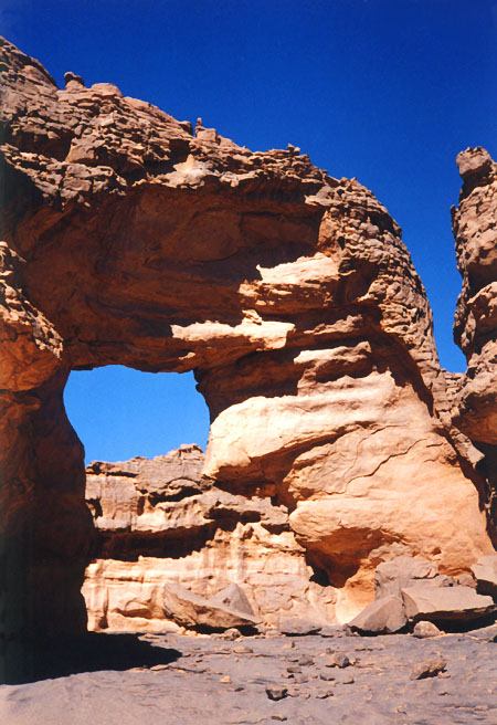Hide and Seek Arch