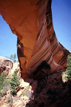 Snake Bridge