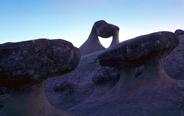 Koford Arch