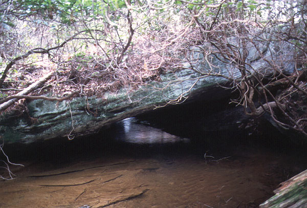 Natural Bridge