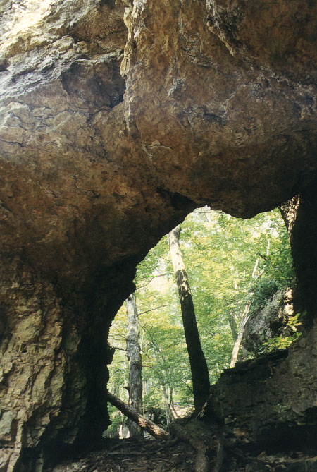 Castlegate Arch