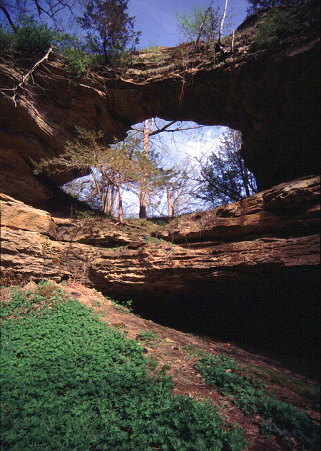 Leland Natural Bridge