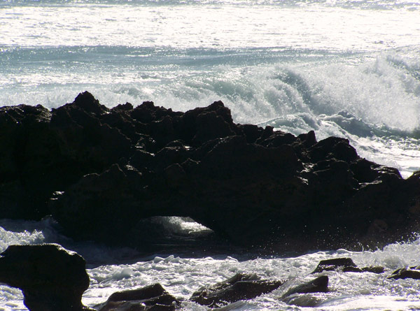 Coral Cove Arch
