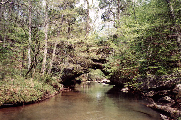 Chandler Natural Bridge