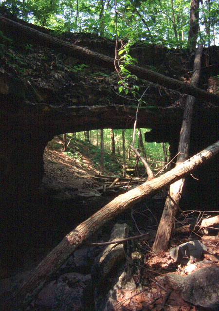 McCormick's Creek Natural Bridge