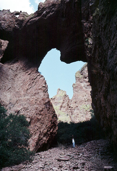 The Portal