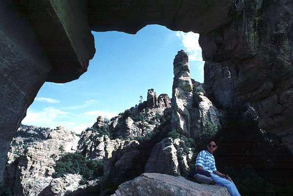 The Window