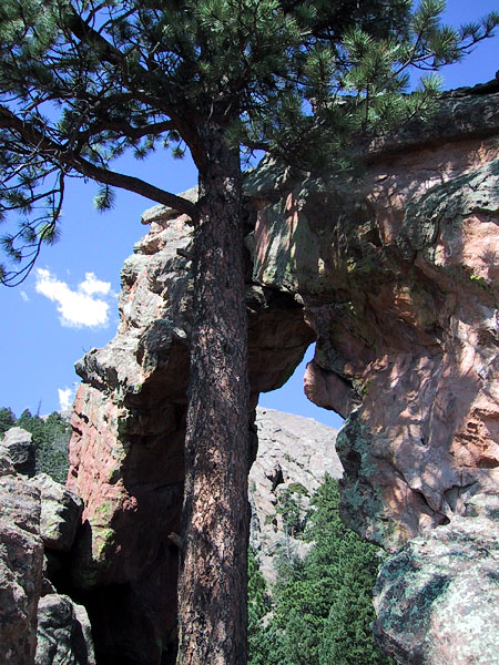 Royal Arch