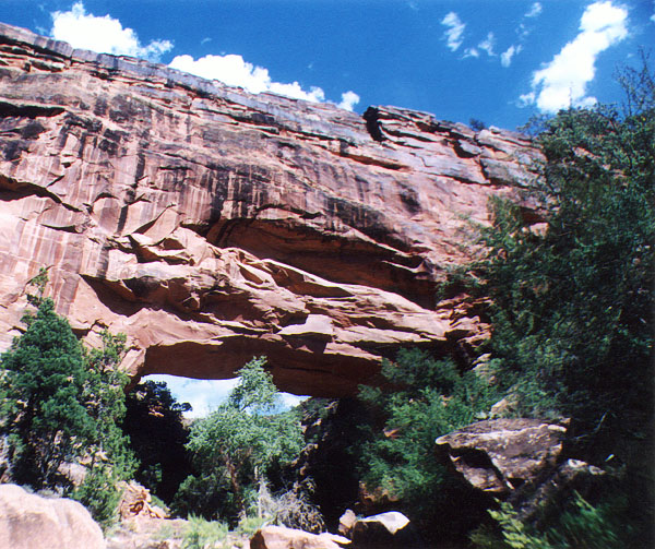 Janita Arch