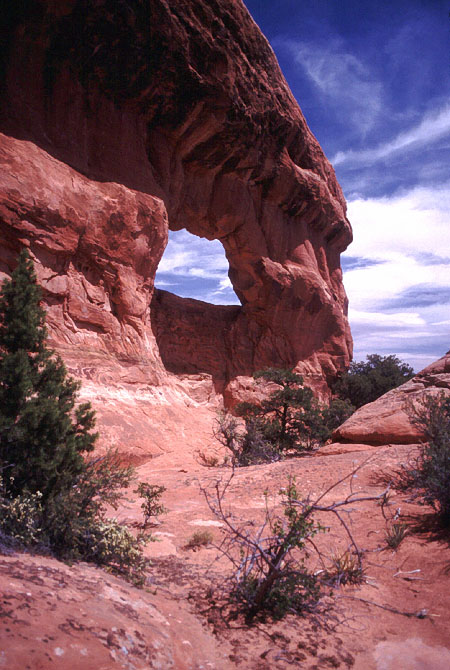 Far Out Arch