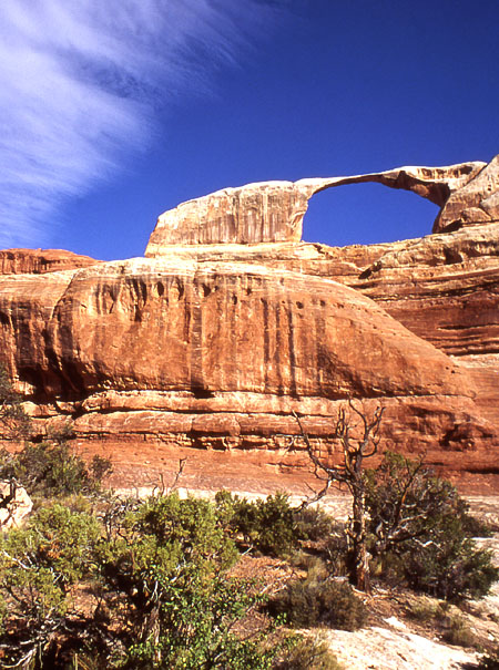 Castle Arch