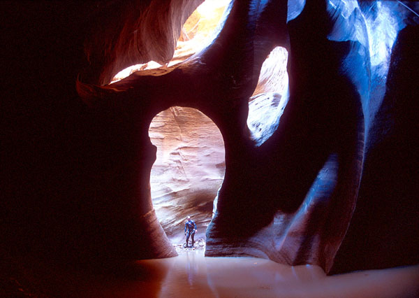 Pine Canyon, Zion
