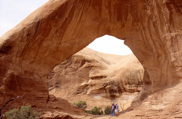 Funnel Arch