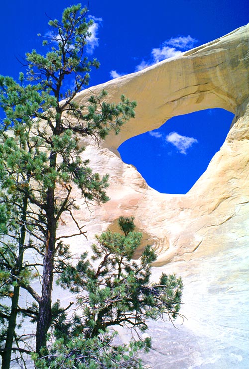 Cedar Wash Arch