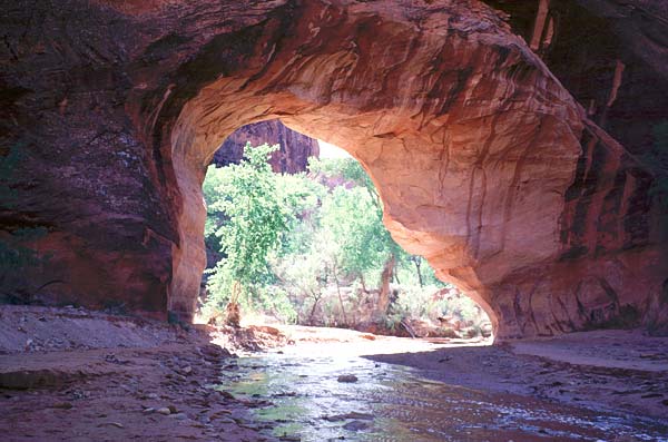 Coyote Natural Bridge