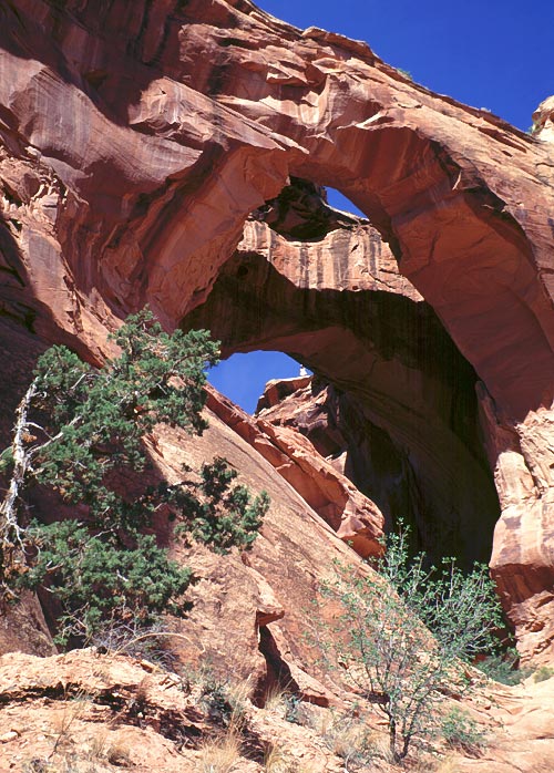 Gemini Bridges