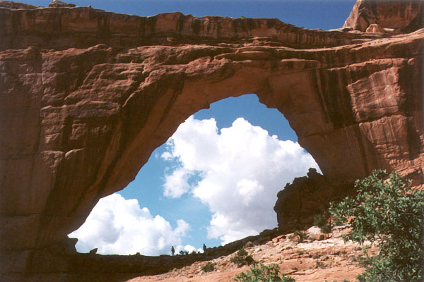 Nevills Arch