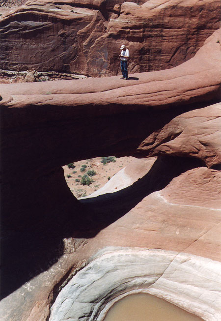 Skywalk Arch