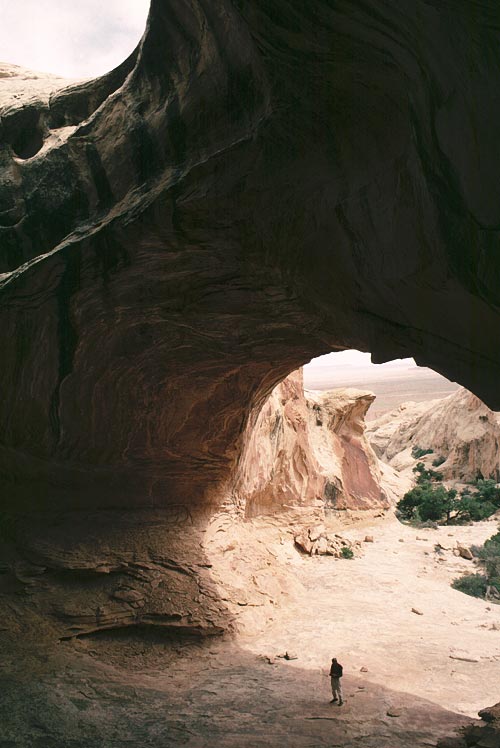 Wild Horse Window