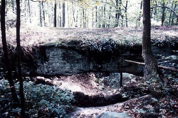 unnamed arch