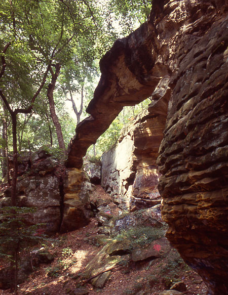 Apex Arch