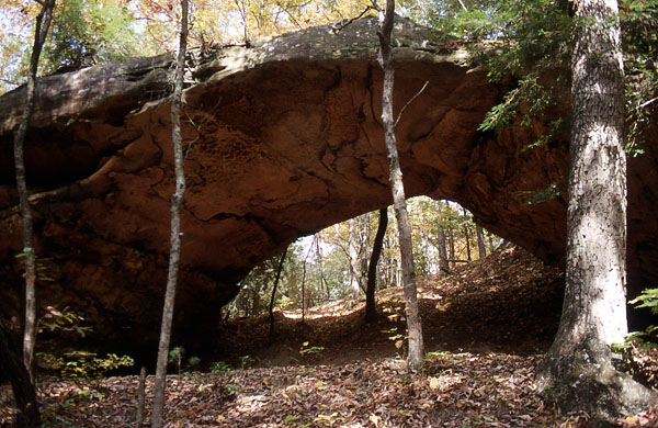 Bolton Branch Arch East