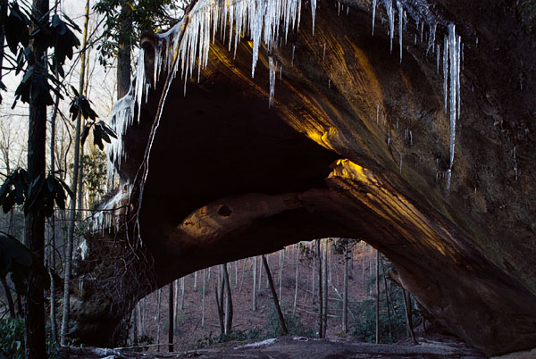 Buffalo Arch