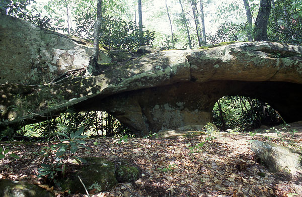 Dark Hollow Arches