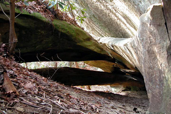 Double Deer Arch