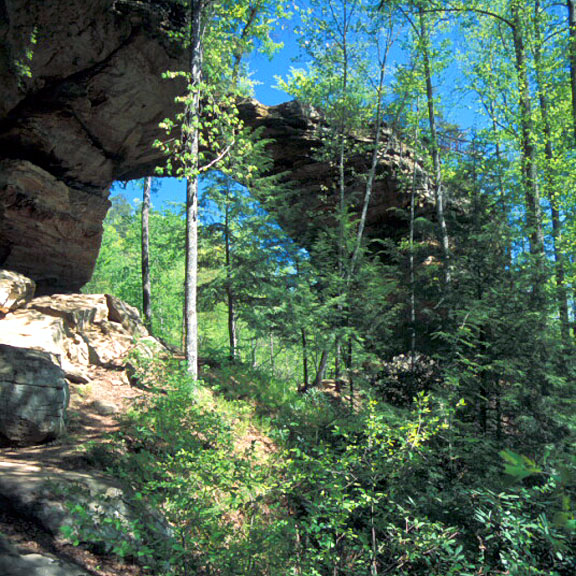 Gray's Arch