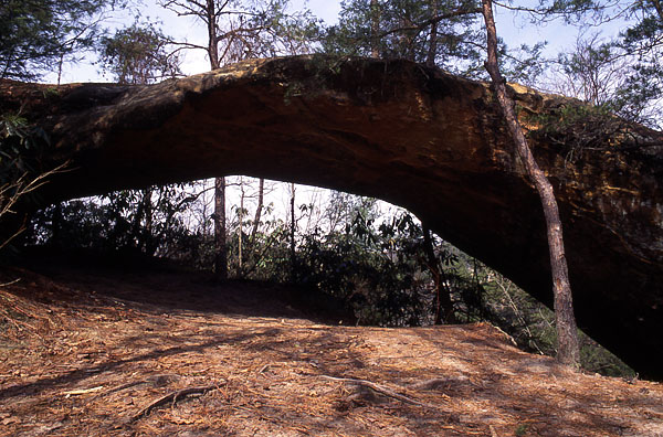 Indian Arch