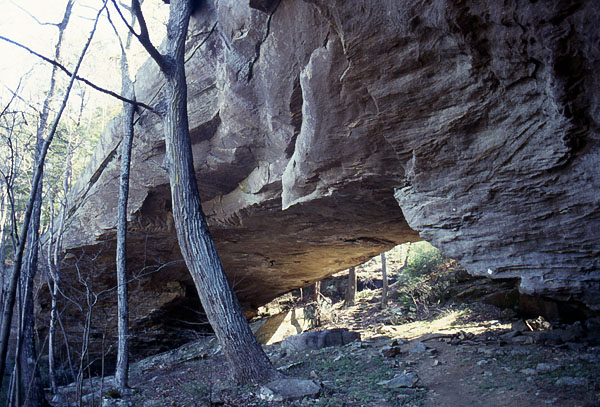 Koger Arch